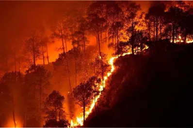 El mayor incendio de la historia consumió el 15% de un continente