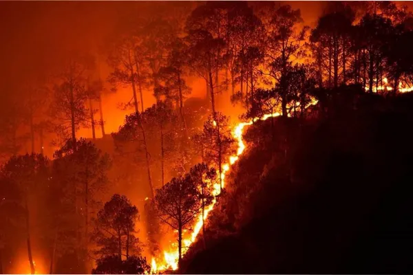 El mayor incendio de la historia consumió el 15% de un continente