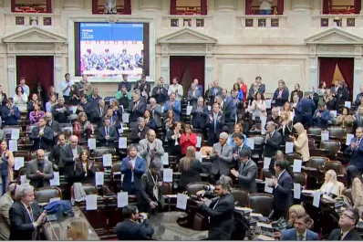 Garrahan, discapacidad y jubilados: hubo quorum y comenzó la sesión especial en Diputados