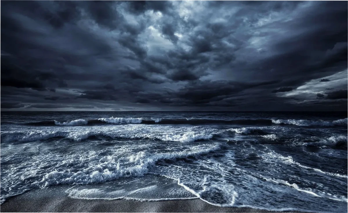 ¿Qué ocurre con la vida marina durante un huracán?