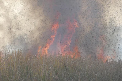 Se redujeron los incendios los campos, pese a las condiciones climáticas adversas