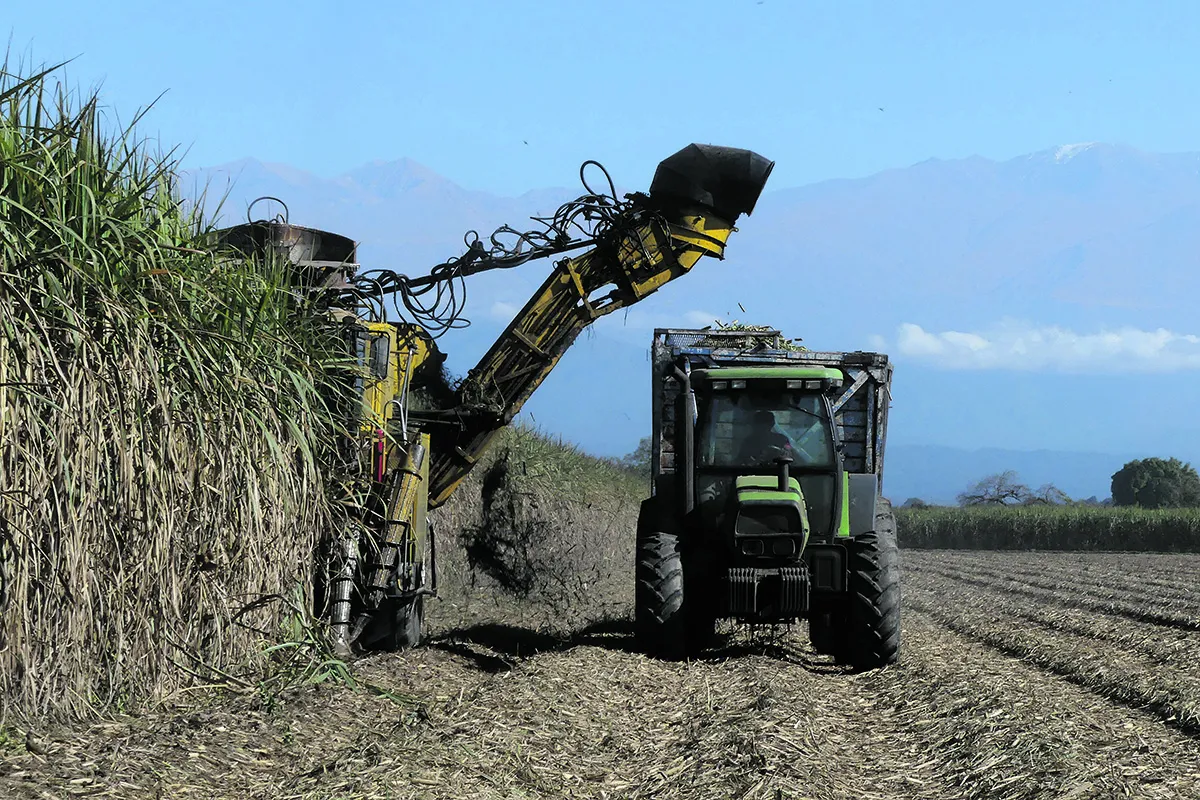 Cartas de lectores: zafra 2025