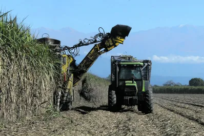 Cartas de lectores: zafra 2025