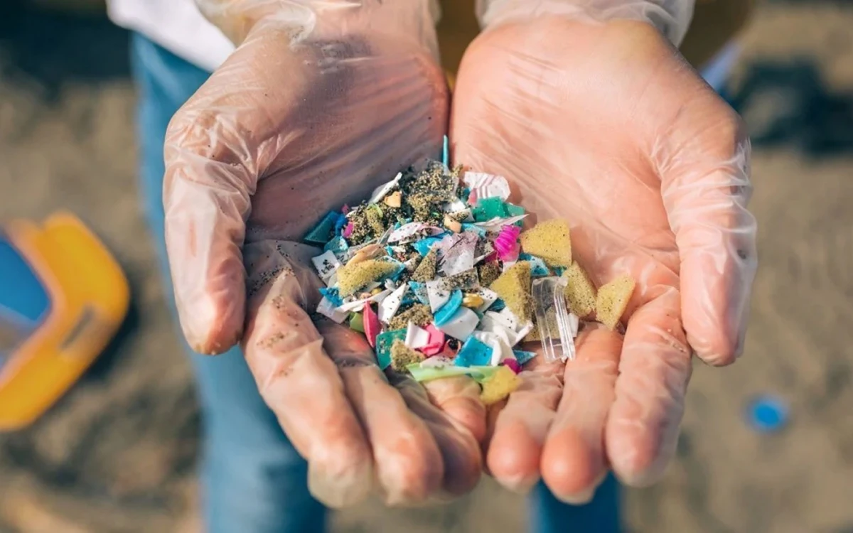 Los preocupantes y desconocidos efectos de los microplásticos en la salud y el cuerpo
