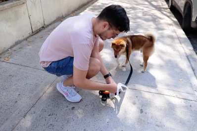 La caca de las mascotas: un grave problema de salud pública