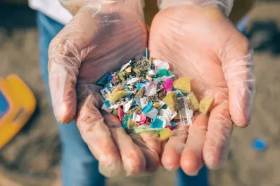 Los preocupantes y desconocidos efectos de los microplásticos en la salud y el cuerpo