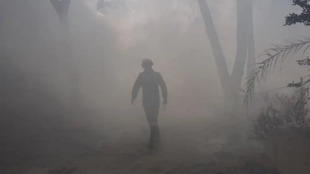 Todo lo que se sabe sobre el terrible accidente de Air India, que dejó unos 260 muertos