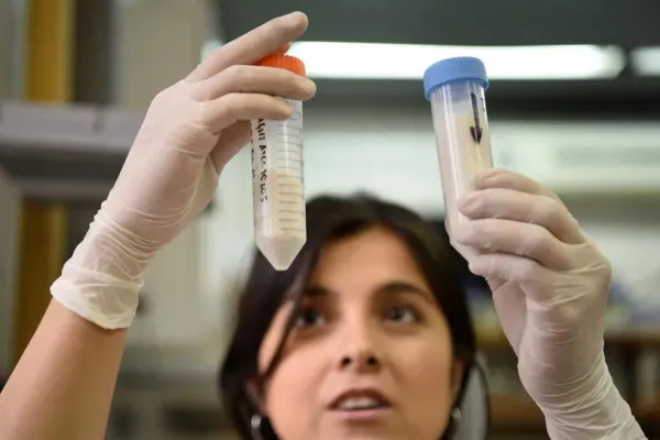 Tu proyecto científico puede ser un negocio con la iniciativa Ciencia que Emprende