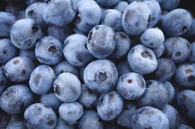 Aunque resulta poco rentable, el arándano se mantiene firme