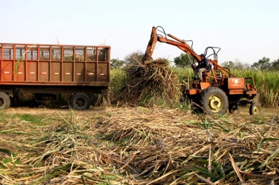La Eeaoc presentó ante la ONU un trabajo de sostenibilidad