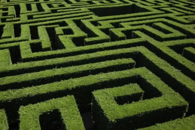 El laberinto del pato