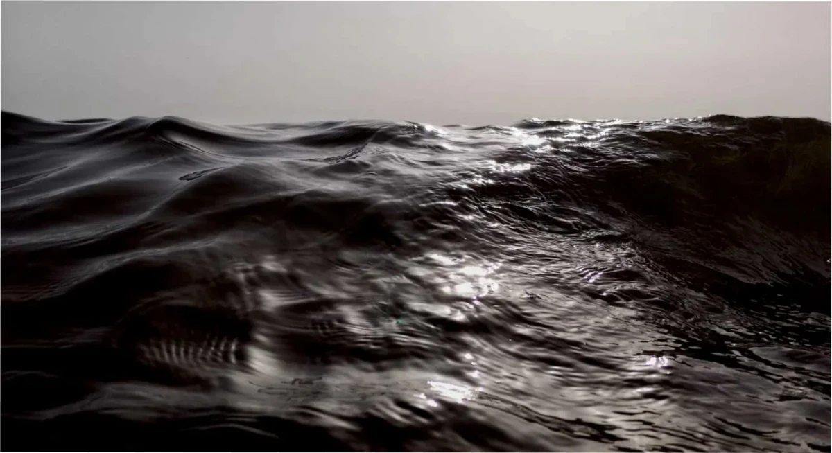 Los océanos se están volviendo más oscuros.