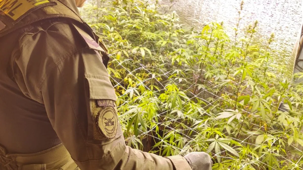 FOTO TOMADA DE GENDARMERÍA NACIONAL. 