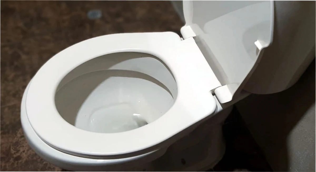 Este producto de uso personal puede acumular más bacterias que un inodoro.