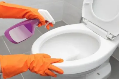 ¿Hay que limpiar el inodoro con lavandina?: la advertencia de los expertos