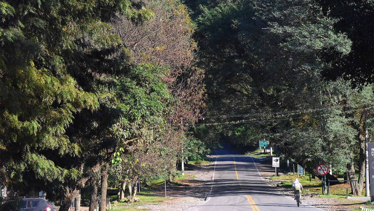 DESPEJADO. El sol brillará durante toda la jornada y elevaría la temperatura durante la tarde. 