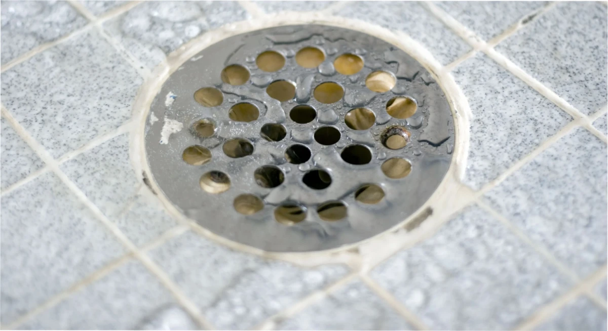 ¿Cómo destapar rápidamente el desagüe de la ducha?