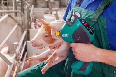 La salud animal ya se conecta con la última tecnología
