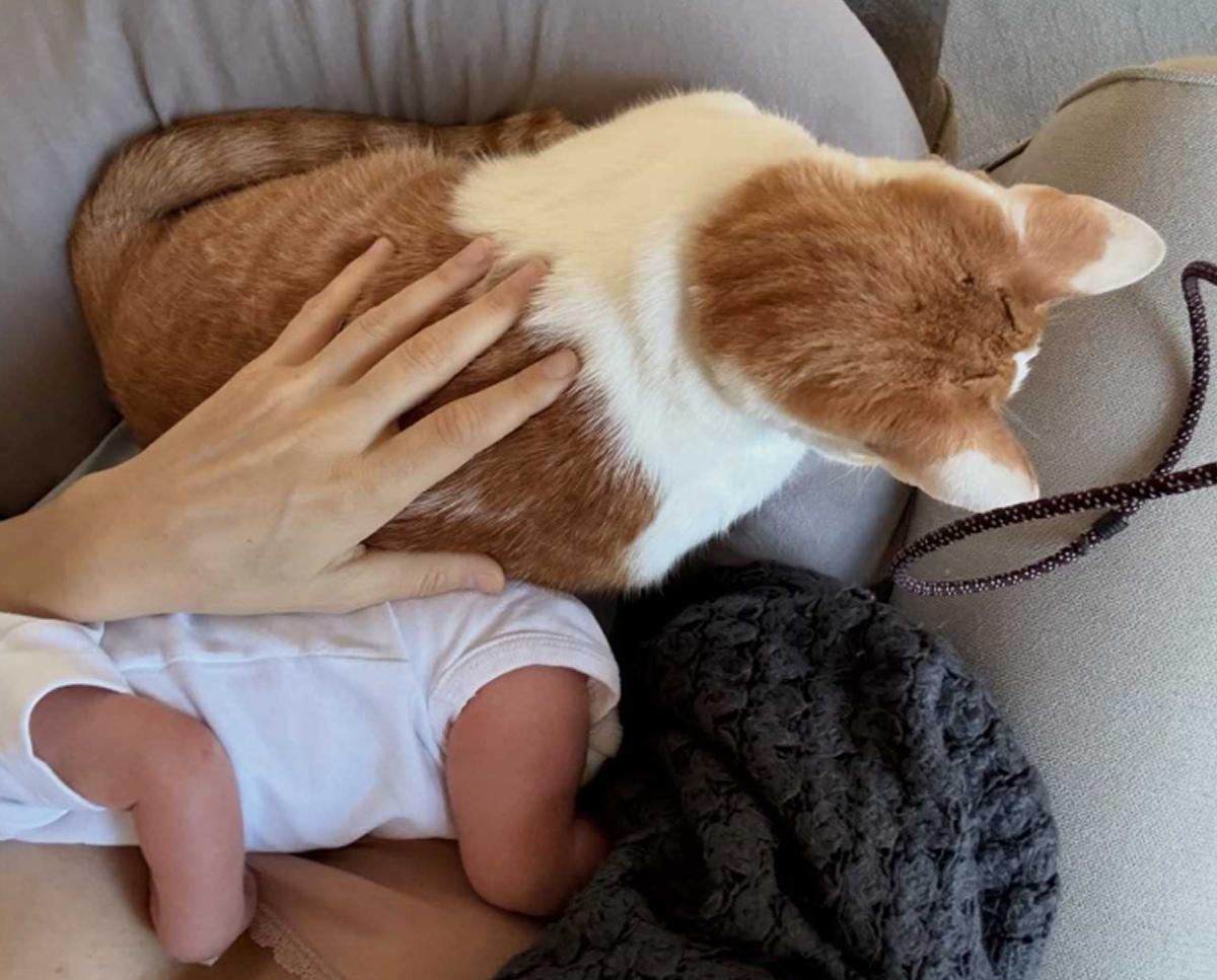 Jimena Barón fue mamá nuevamente y mostró las primeras fotos de Arturo