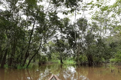 Ayahuasca, pirañas y la selva apabullante: un viaje que merecía ser contado