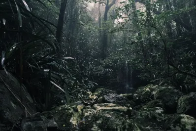 Estudiantes de Ciencias Naturales podrán capacitarse para investigar la biodiversidad