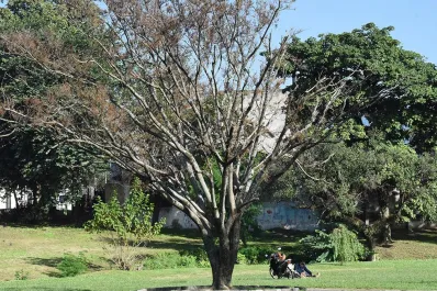 El tiempo en Tucumán: después de un domingo mayormente soleado, anuncian el ingreso de un frente frío