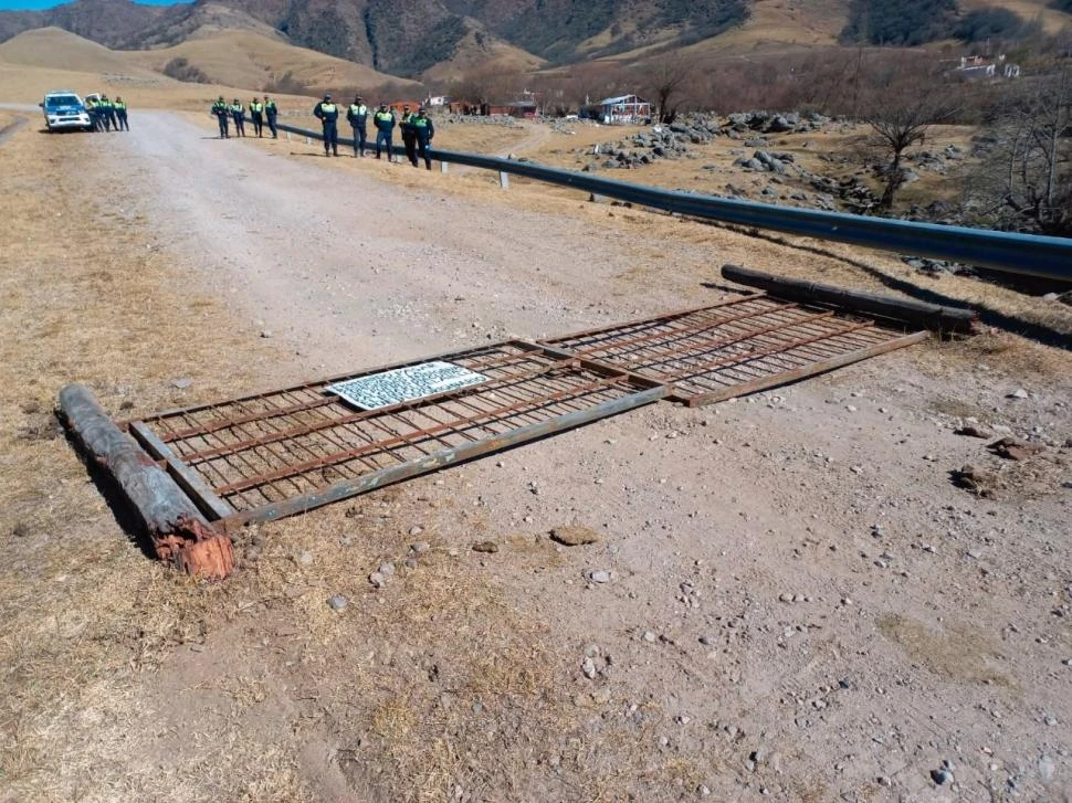 La foto de la semana