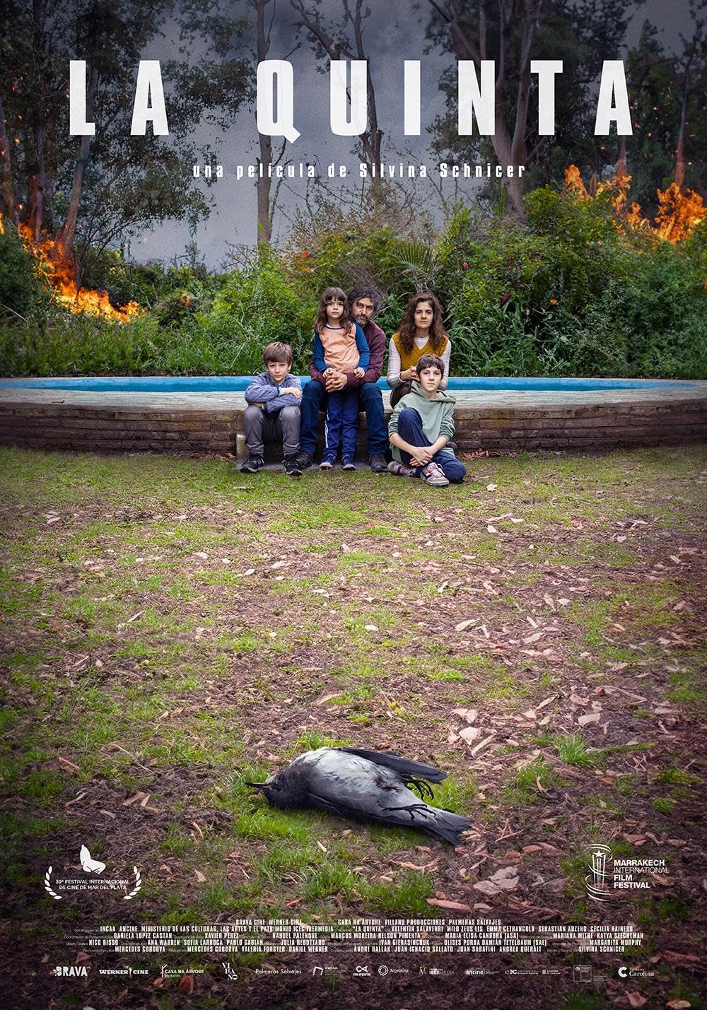 Cine en el Espacio Incaa y una obra compuesta por IA, en San Petersburgo