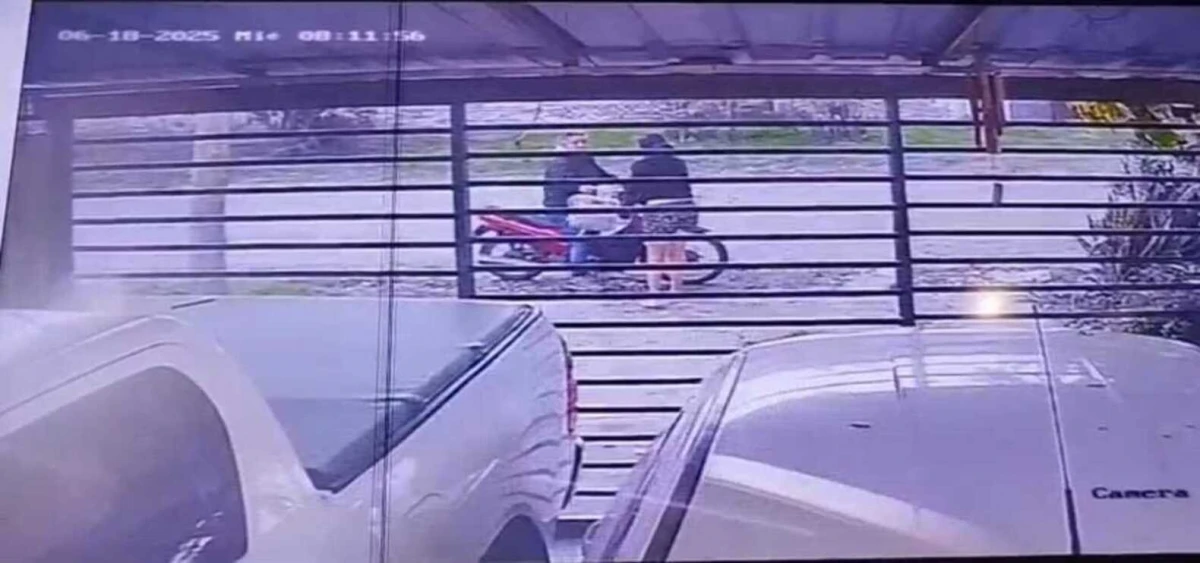 Una mujer robó dinero en su lugar de trabajo, quedó filmada y fue presa