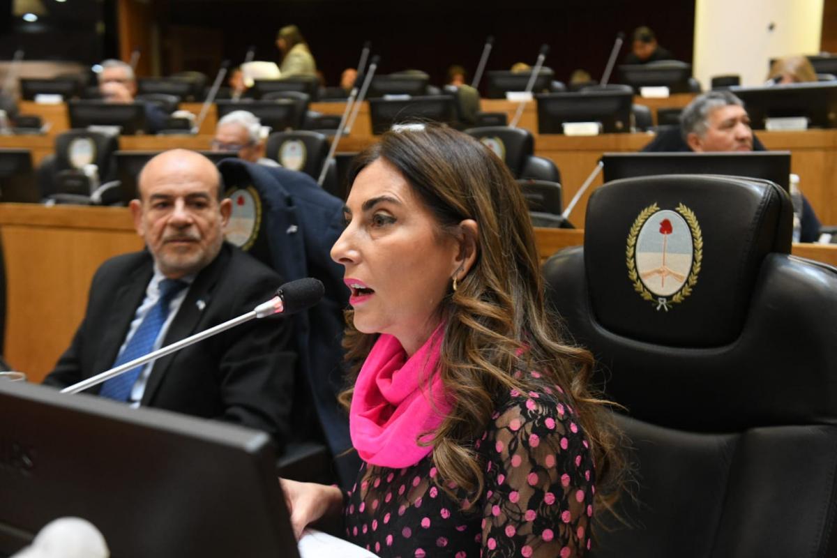 Digesto Jurídico: en la primera sesión, llevaron al recinto más de 750 leyes