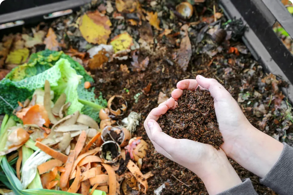 SUSTENTABILIDAD. El taller de compostaje enseñará cómo transformar residuos orgánicos del hogar en abono natural con una técnica accesible.