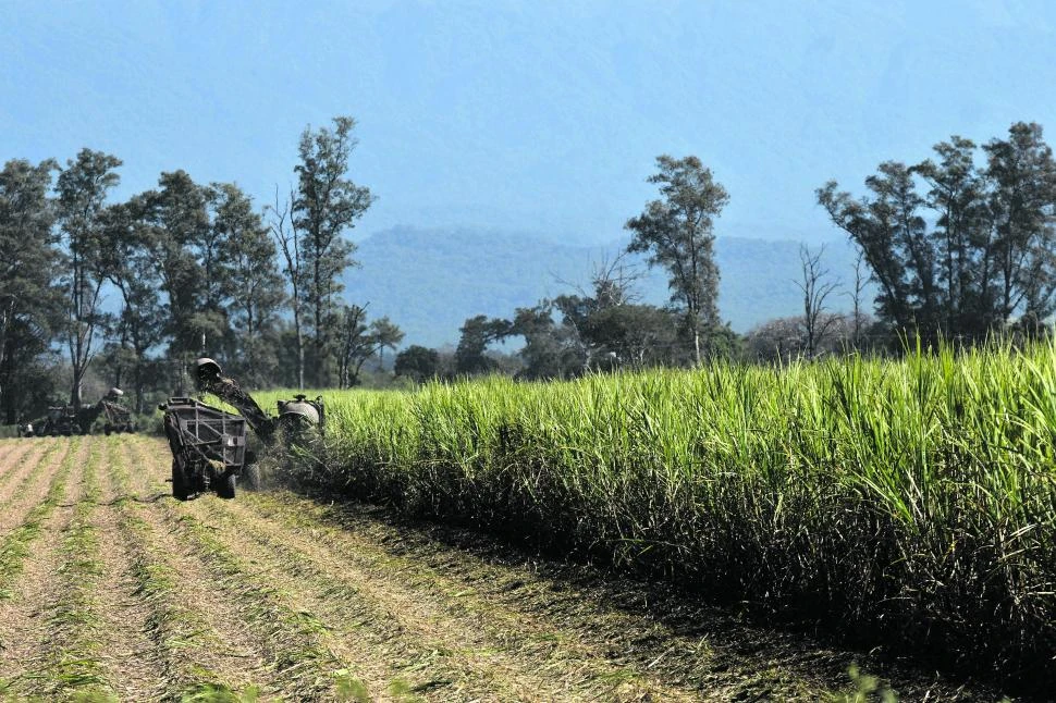 Tucumán aspira a convertirse en la primera provincia carbononeutral argentina