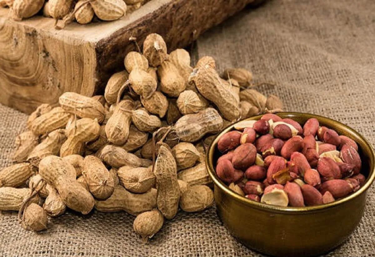 Los increíbles beneficios del maní para la salud: por qué deberías sumarlo a tu dieta diaria