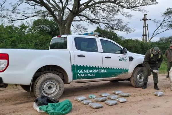 Efectivos de Gendarmería encontraron más de 29 kilos de droga entre la maleza