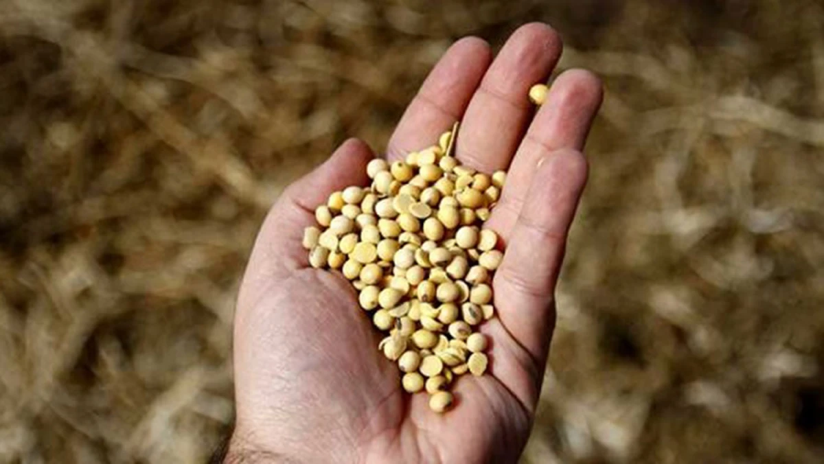 El agro responde con producción, pero necesita condiciones