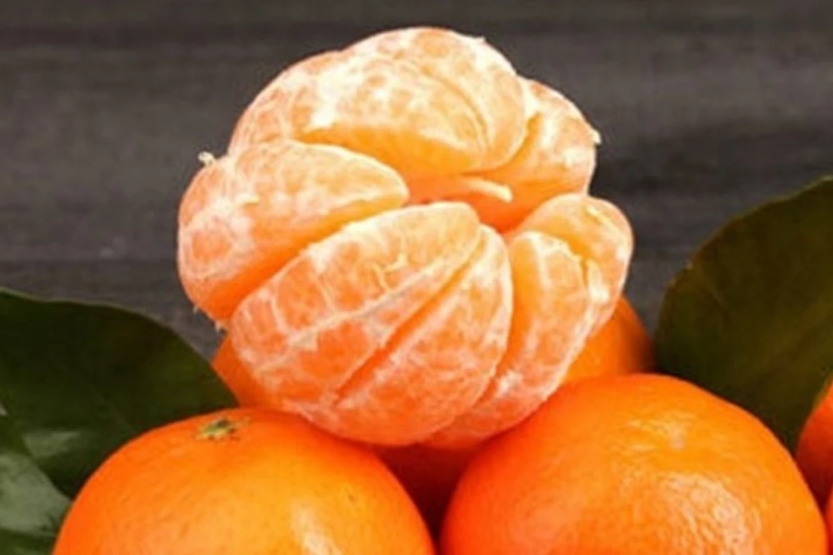 El secreto saludable que todos tiran: por qué no deberías quitarle la “telita blanca” a la mandarina