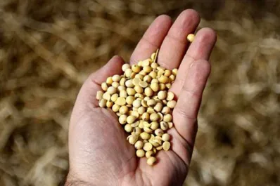 El agro responde con producción, pero necesita condiciones