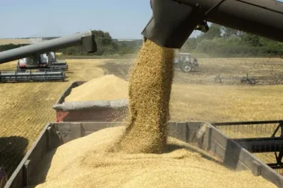 Productores tucumanos destacan la suba de la soja, pero piden cautela ante el acuerdo entre EEUU y China