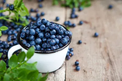 El poder del arándano: el consejo de un cardiólogo para reducir la presión arterial