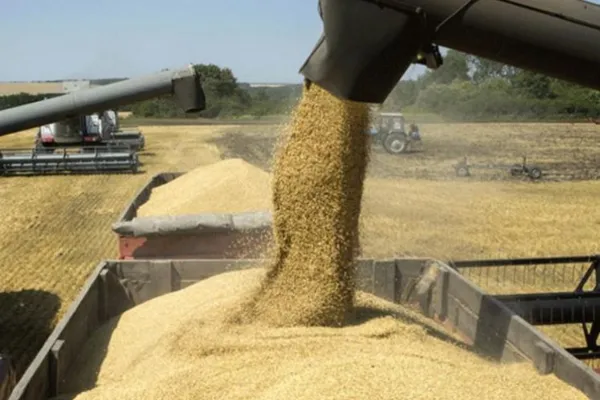 Vuelven a incrementarse las retenciones a la soja