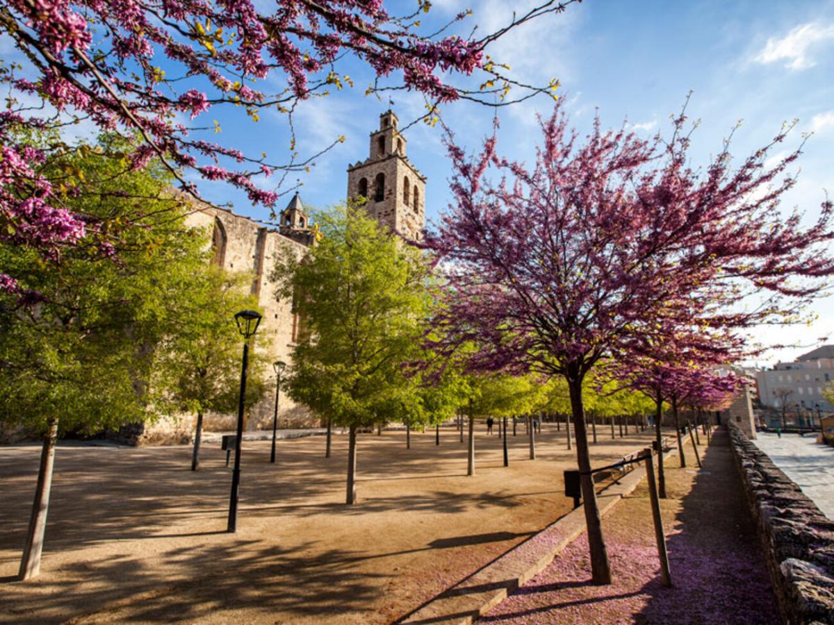 Cuál es el mejor lugar para vivir cerca de Barcelona, según la inteligencia artificial