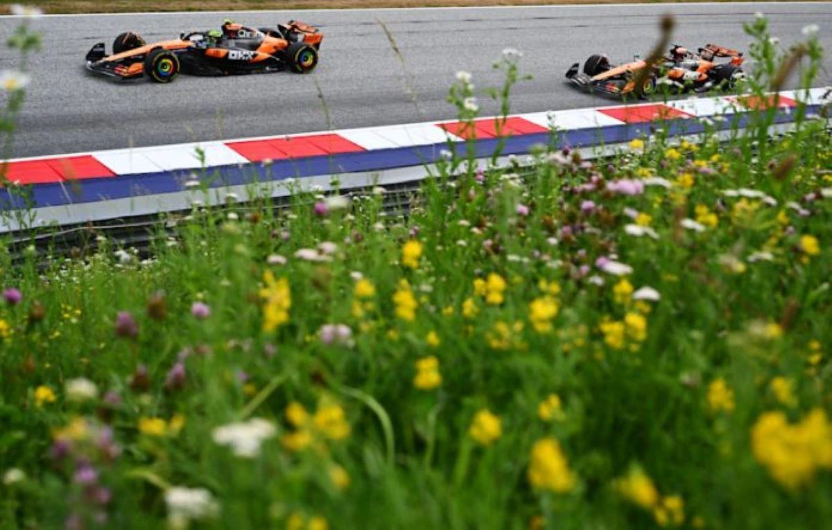 EN RITMO. Los McLaren se mezclan con las flores silvestre que rodean el trazado.
