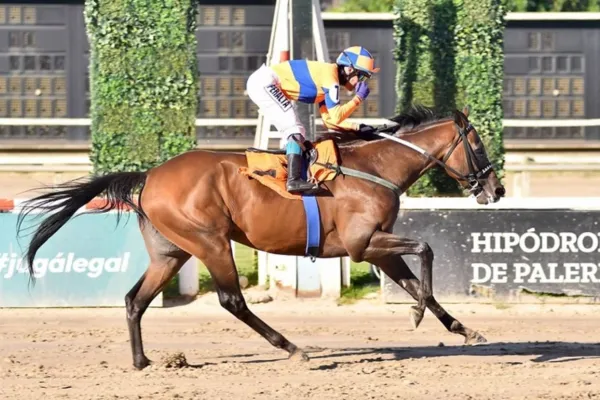 Turf: Endor Rye acarició la gloria en las Carreras de las Estrellas de Palermo