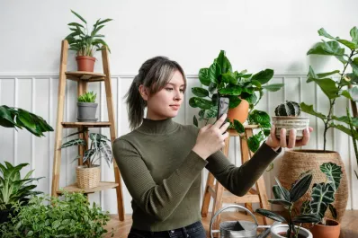 Qué dice la psicología de las personas que tienen muchas plantas en su casa