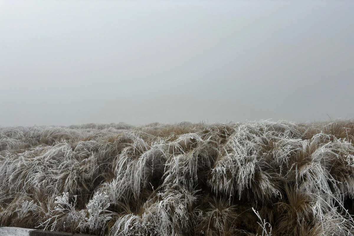 Cómo se produce la nieve y qué hacer ante una nevada o ventisca en Argentina