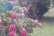 Cristofer Brito pronosticó un mayor descenso de la temperatura para mañana en Tucumán