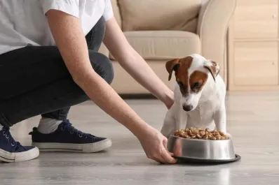 ¿Te considerás un amante de los perros? Esto dice de vos la psicología