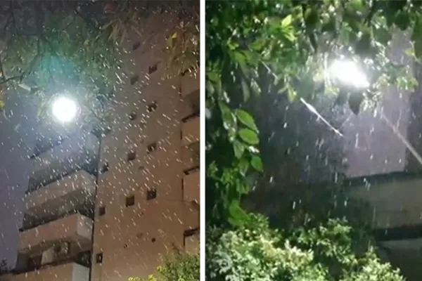 El tiempo en Tucumán: la ola de frío trajo nevadas en Tafí del Valle y aguanieve en la capital