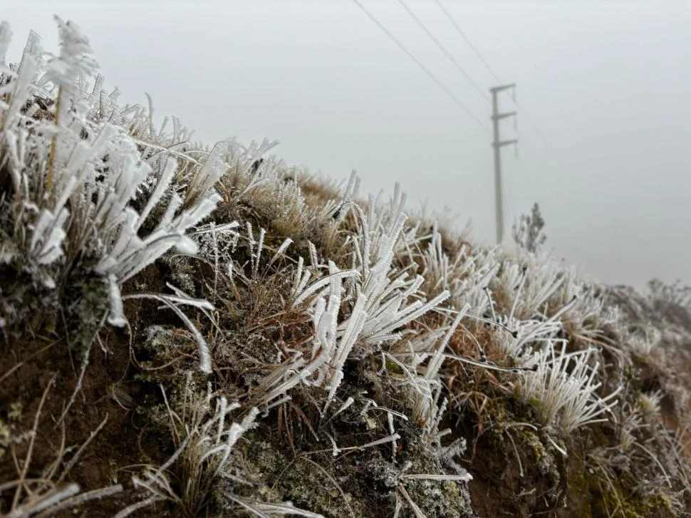 CENCELLADA. Este fenómeno ocurre cuando la humedad del aire se congela en contacto con superficies frías, y ya se ve en los cerros.