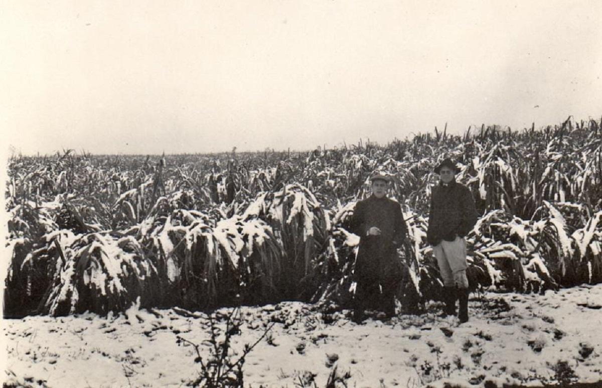 La nevada de 1920: el invierno que transformó a Tucumán en una postal patagónica